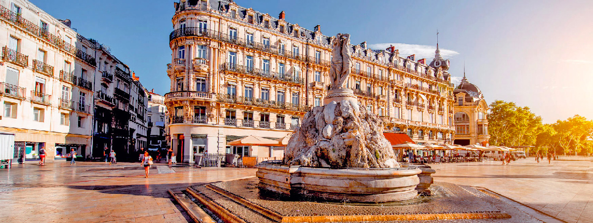 Ecusson Montpellier
